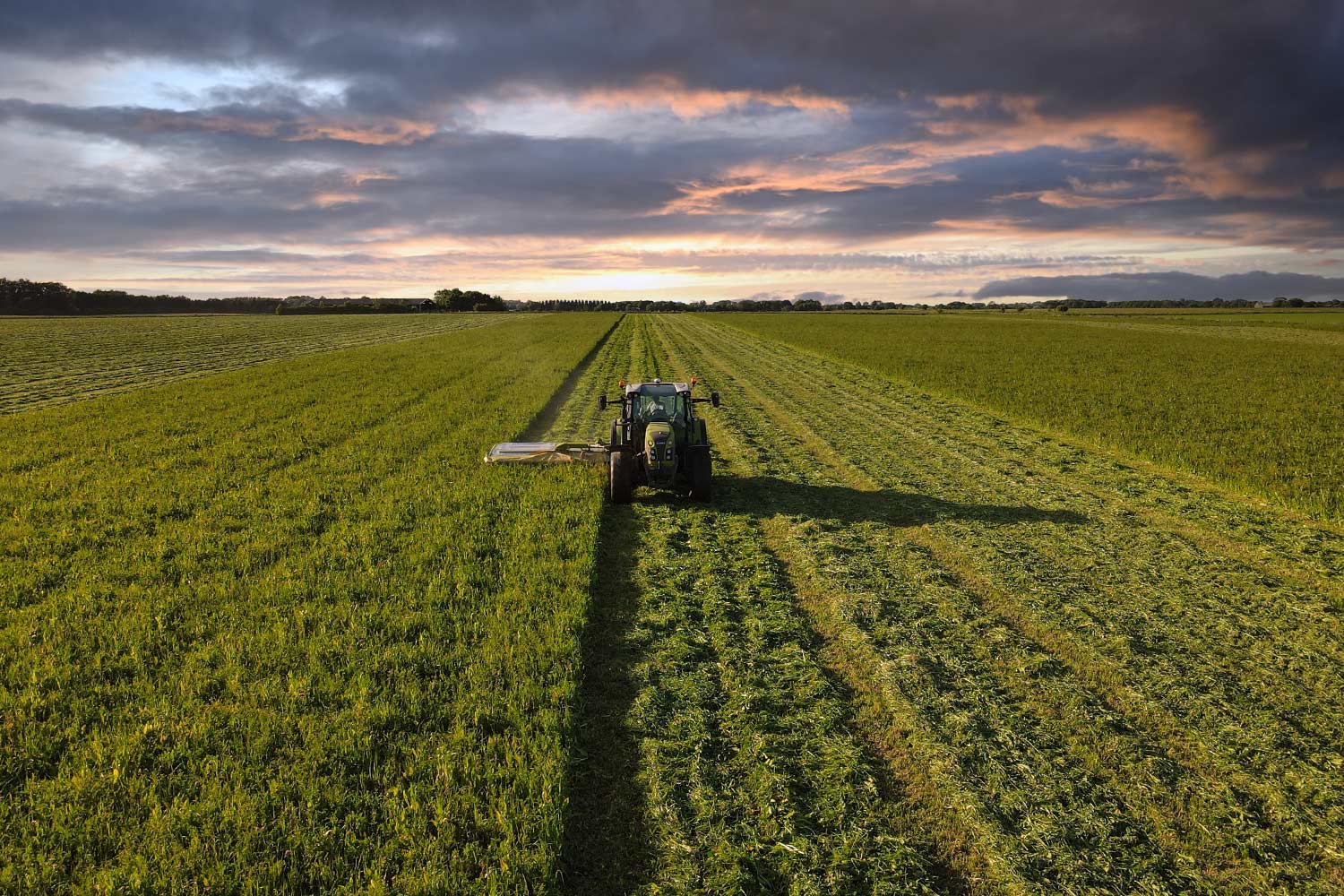 The biodynamic method in 100 words – Bruichladdich Distillery